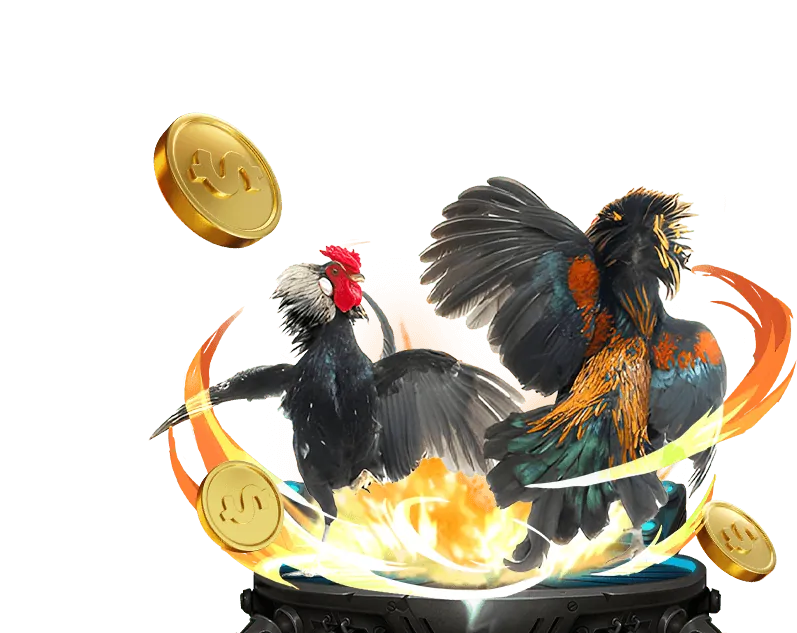 Chương trình VIP độc quyền cho cược thủ đá gà