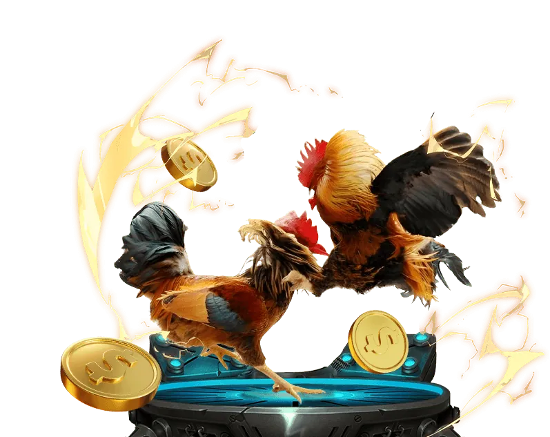 Chuyên gia phân tích dữ liệu đá gà Campuchia trực tiếp